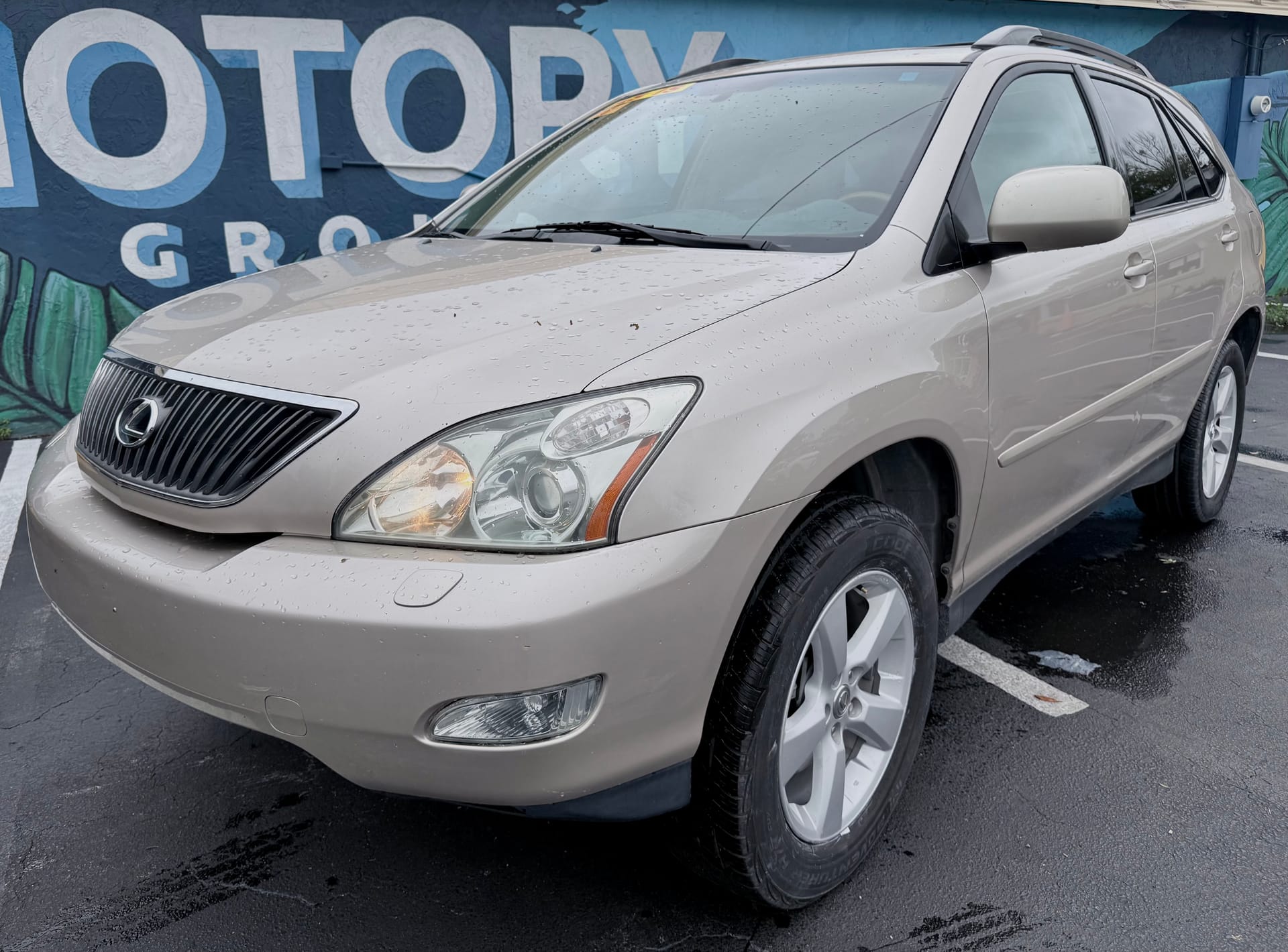 2005 LEXUS RX - Gallery Image