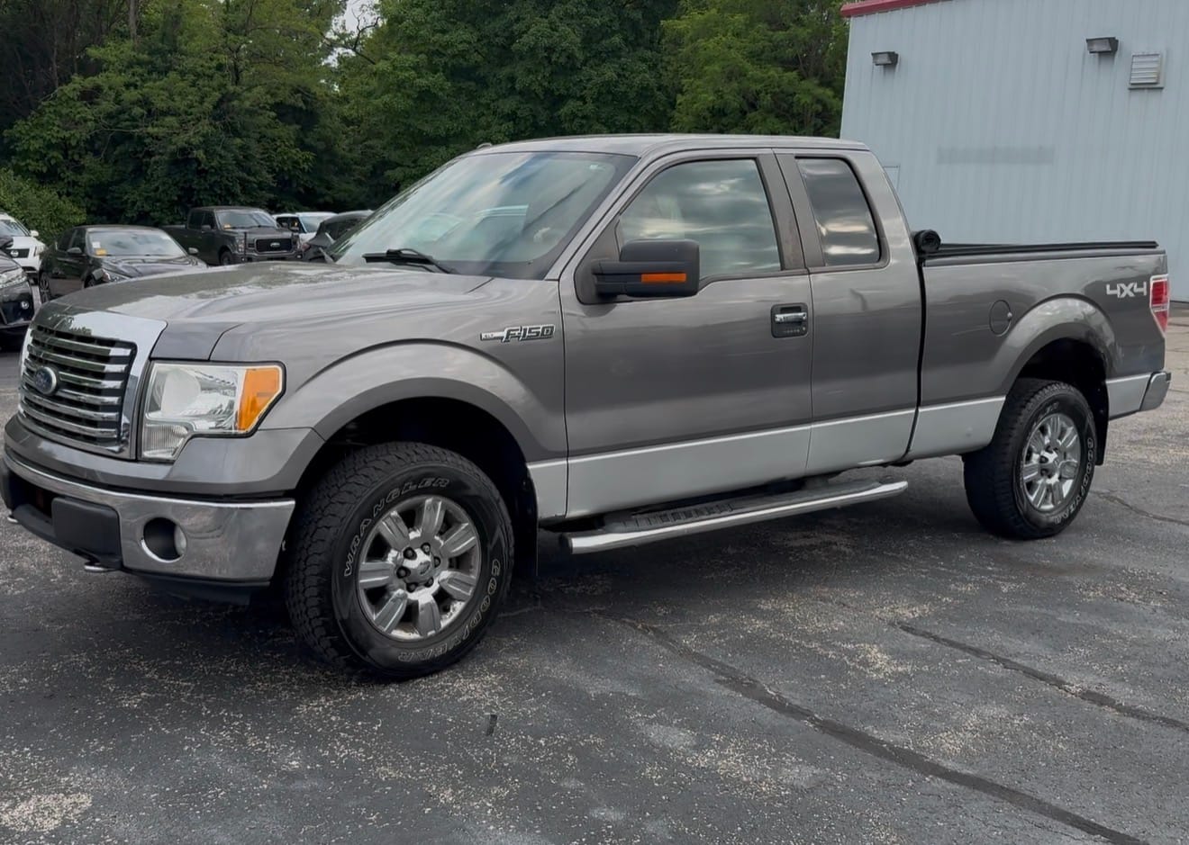 2010 Ford F-150's photo