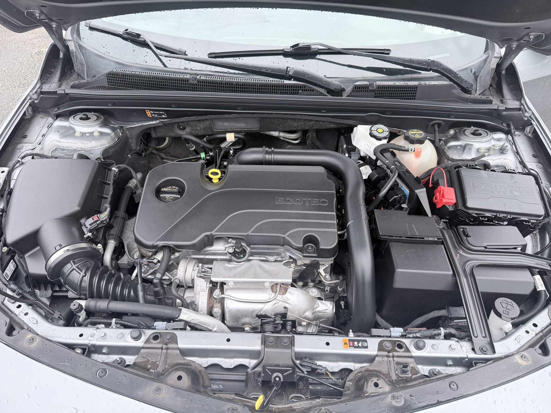2024 CHEVROLET MALIBU - Gallery Image
