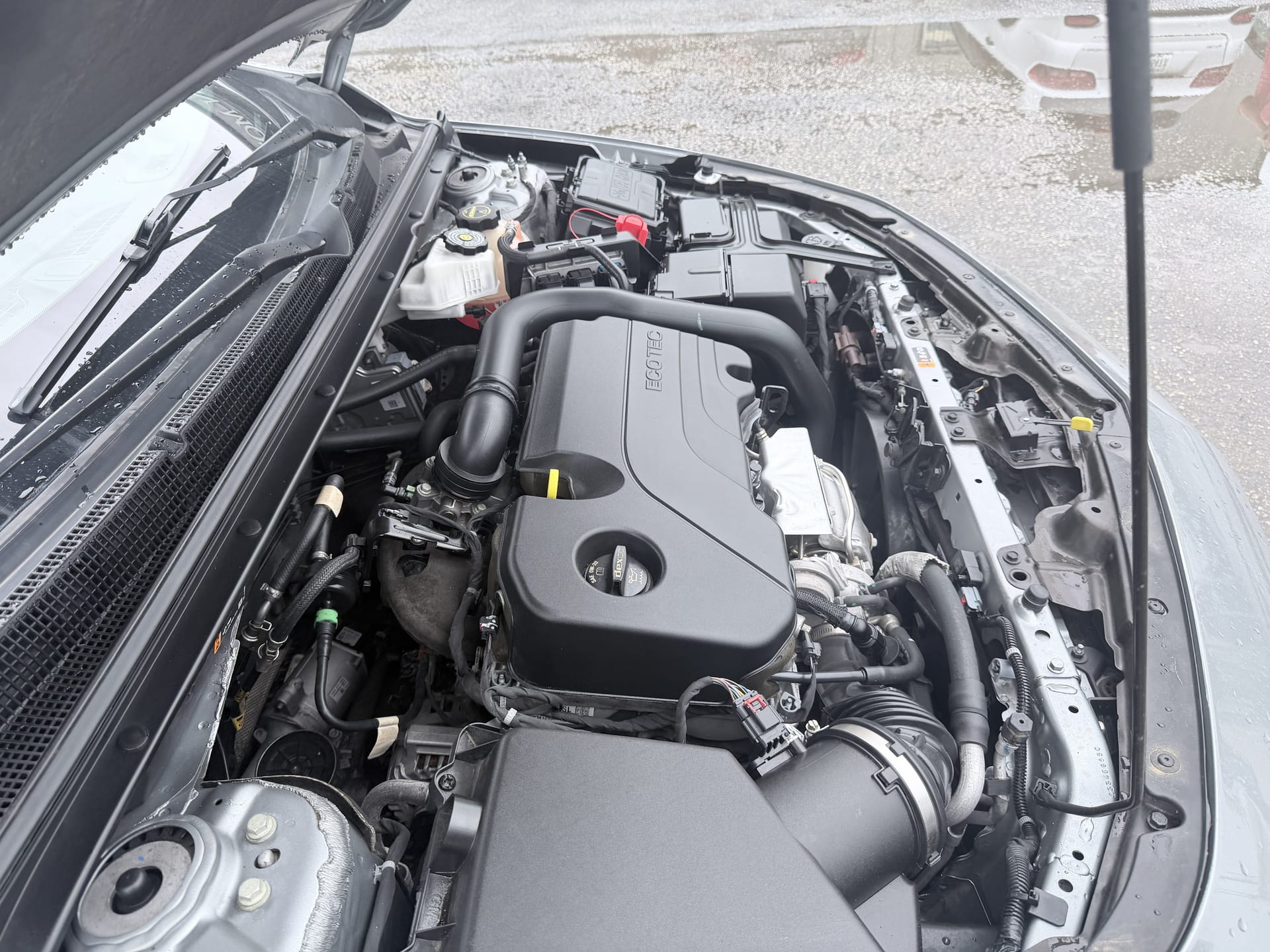 2024 CHEVROLET MALIBU - Gallery Image