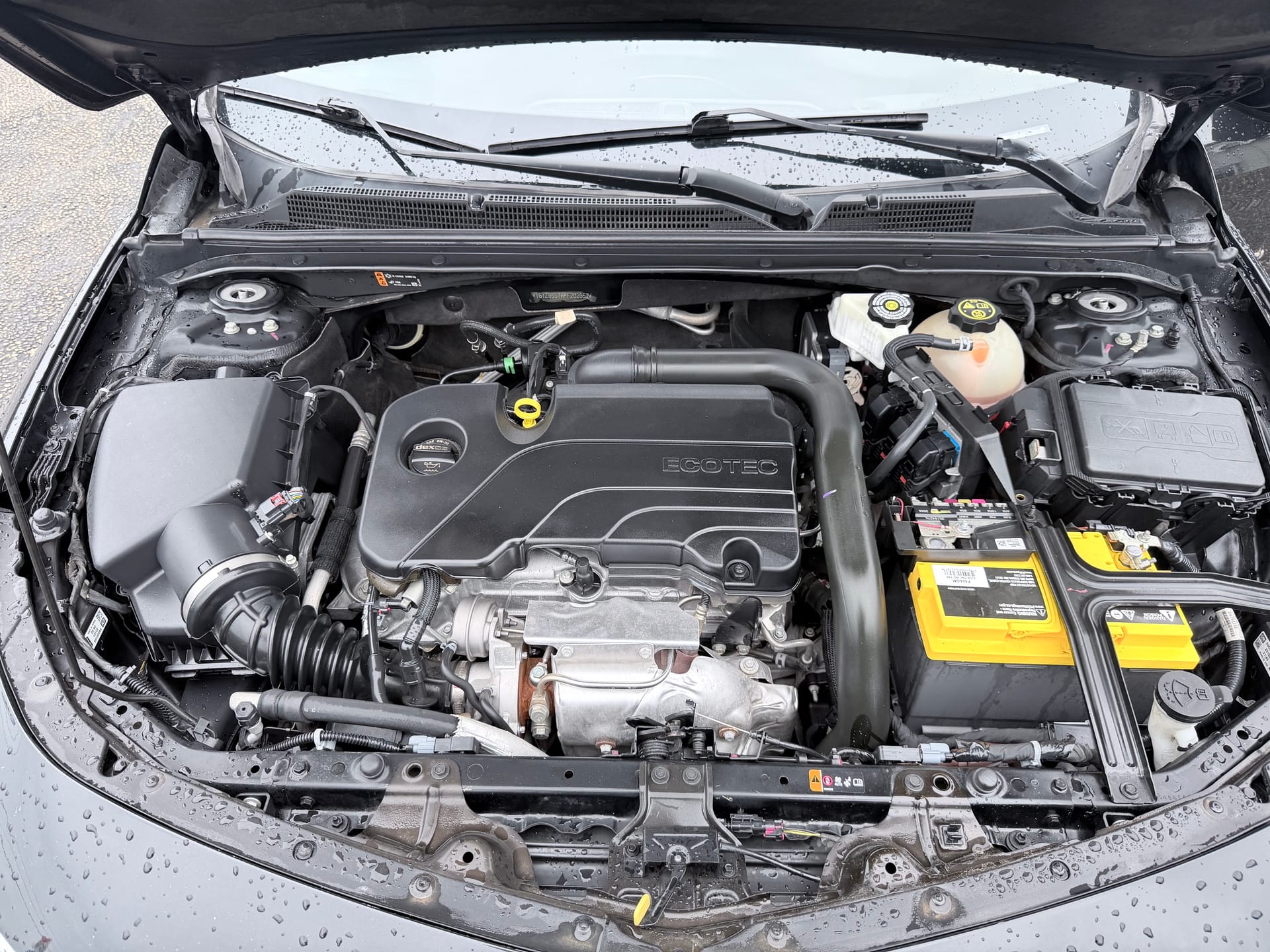 2023 CHEVROLET MALIBU - Gallery Image