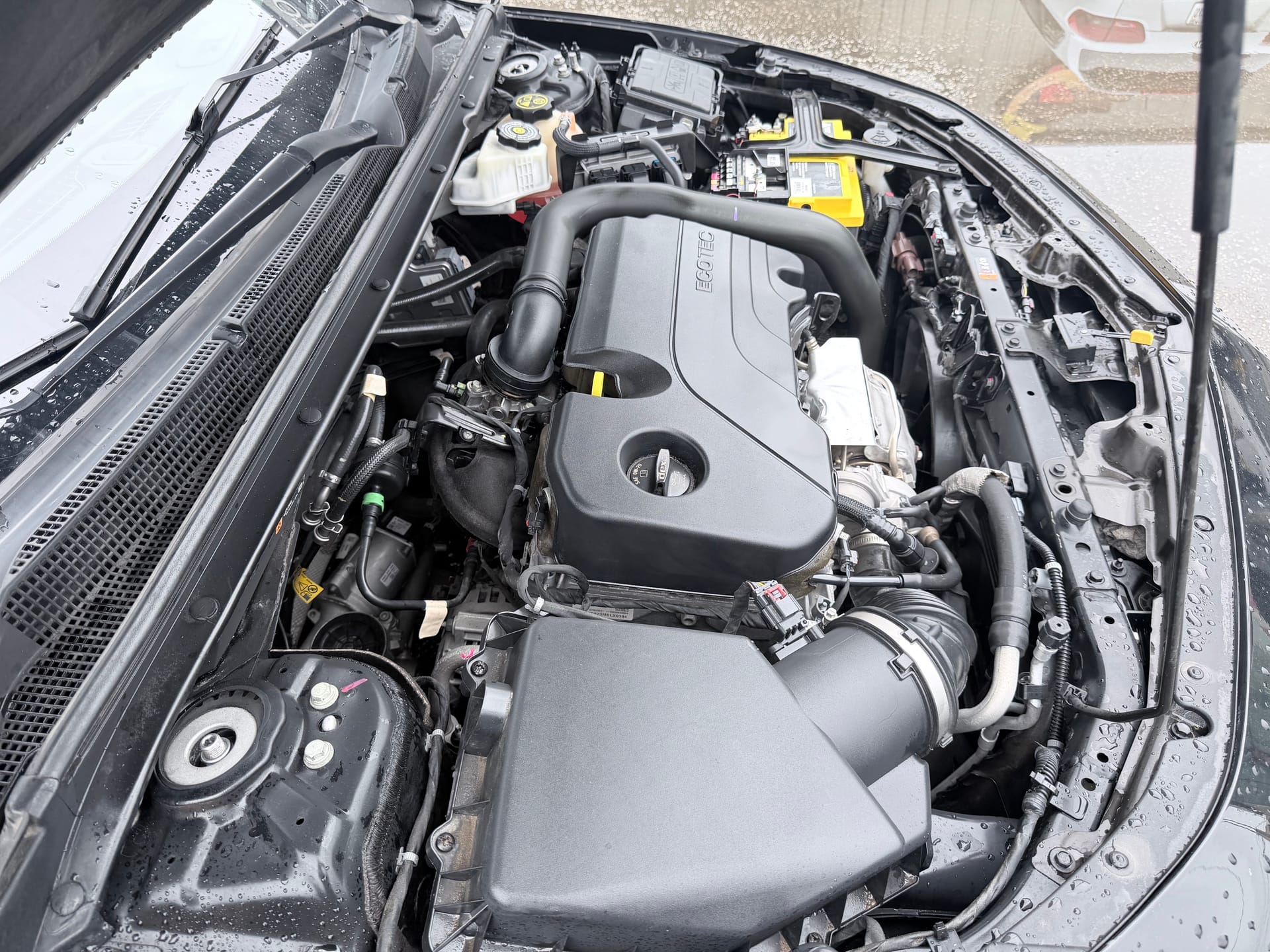 2023 CHEVROLET MALIBU - Gallery Image