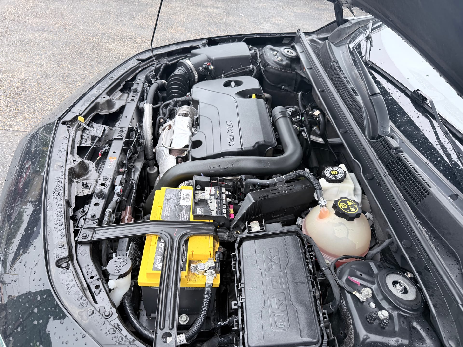 2023 CHEVROLET MALIBU - Gallery Image